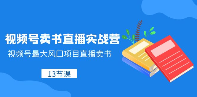 视频号-卖书直播实战营，视频号最大风囗项目直播卖书