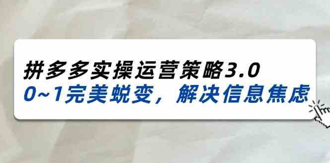 2024-2025拼多多实操运营策略3.0，0~1完美蜕变，解决信息焦虑