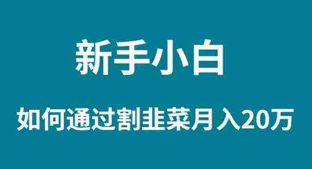 新手小白如何通过割韭菜月入 20W