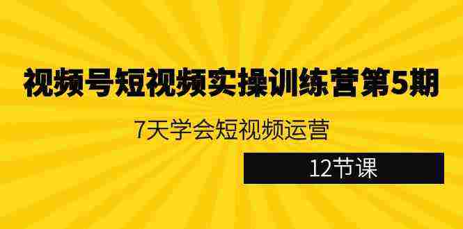 视频号短视频实操训练营第5期：7天学会短视频运营