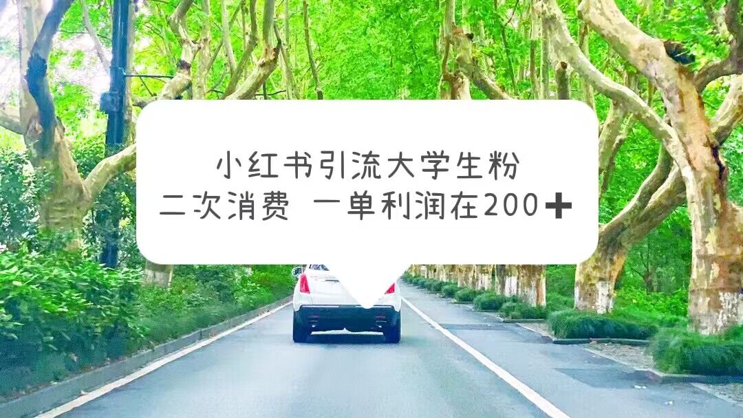 小红书引流大学生粉，变现项目，一单利润在200+