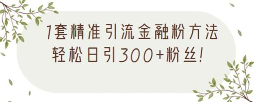 1套精准引流金融粉方法，轻松日引300+粉丝【视频课程】