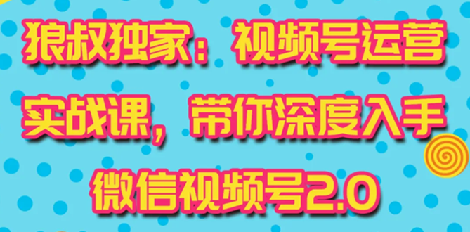 视频号运营实战课2.0，目前市面上最新最全玩法，快速吸粉吸金