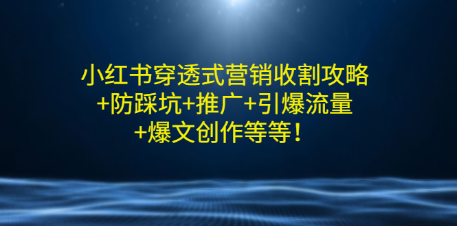 小红书穿透式营销收割攻略+防踩坑+推广+引爆流量+爆文创作等等！