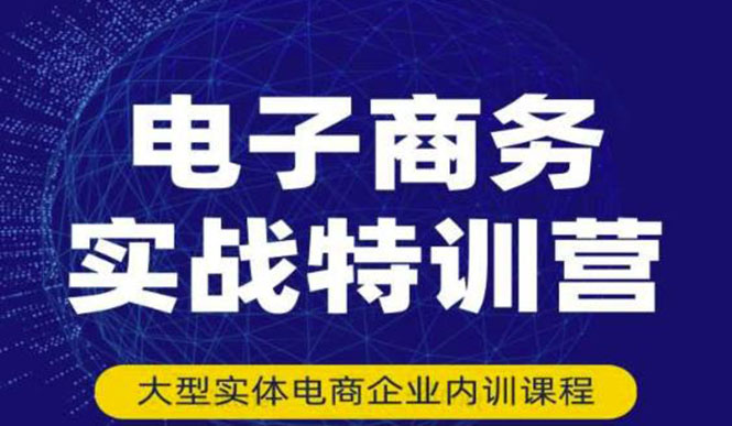 电子商务实战特训营，全方位带你入门电商，308种方式玩转电商