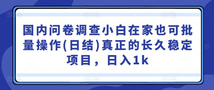 国内问卷调查小白在家也可批量操作(日结)真正的长久稳定项目，日入1k【揭秘】