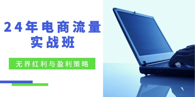 24年电商流量实战班：无界 红利与盈利策略，终极提升/关键词优化/精准…