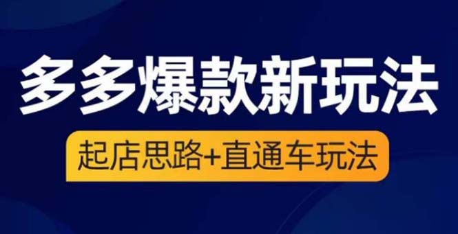 2023拼多多爆款·新玩法：起店思路+直通车玩法