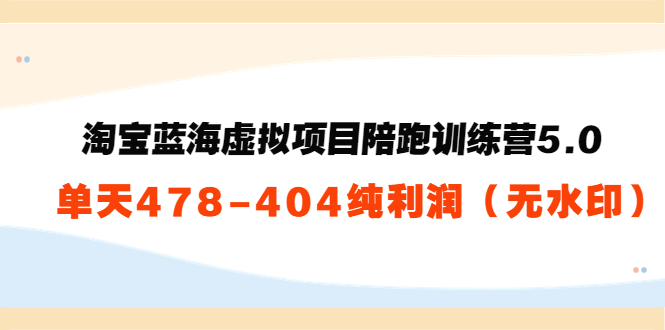 黄岛主：淘宝蓝海虚拟项目陪跑训练营5.0：单天478纯利润