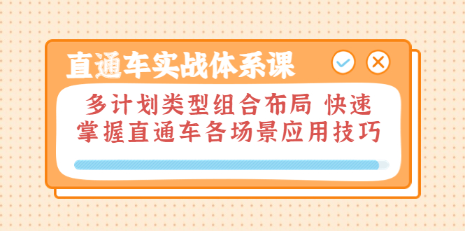 直通车实战体系课：多计划类型组合布局 快速掌握直通车各场景应用技巧