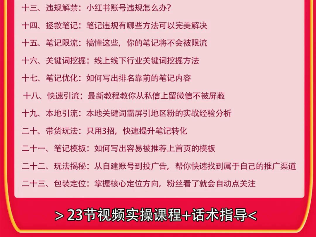 小红书爆款推广引流训练课9.0，手把手带你玩转小红书 一部手机即可月入万元