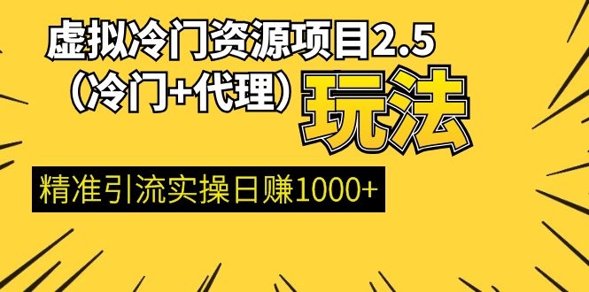 虚拟冷门资源项目2.5 精准引流实操日赚1000+(更新中)