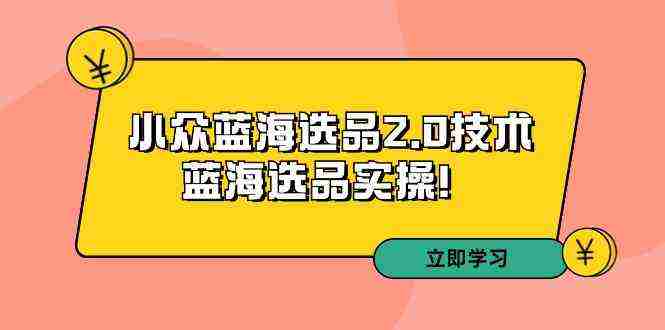 拼多多培训第33期：小众蓝海选品2.0技术-蓝海选品实操！