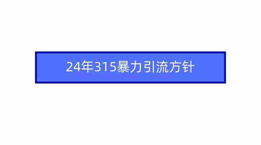 2024年315暴力引流方针