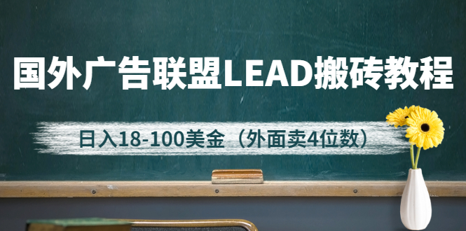 外面卖4位数的国外广告联盟LEAD搬砖教程，日入18-100美金