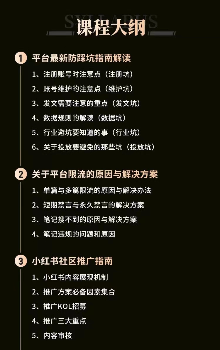 小红书穿透式营销收割攻略+防踩坑+推广+引爆流量+爆文创作等等！