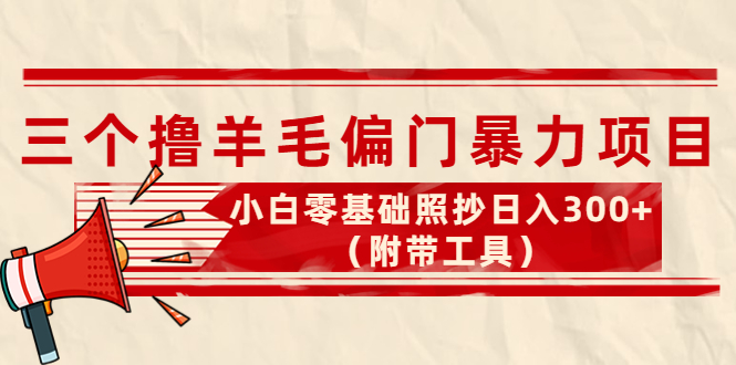 外面卖998的三个撸羊毛偏门暴力项目，小白零基础照抄日入300+