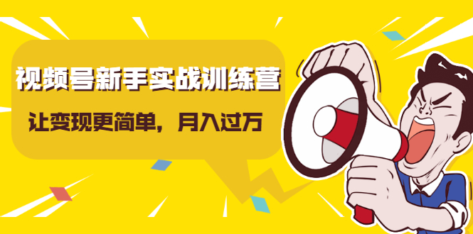 视频号新手实战训练营，让变现更简单，玩赚视频号，轻松月入过万