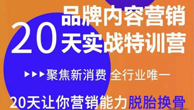 《内容营销实操特训营》20天让你营销能力脱胎换骨