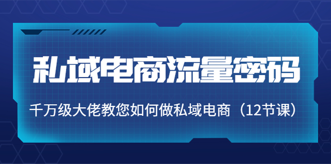 私域电商流量密码：千万级大佬教您如何做私域电商