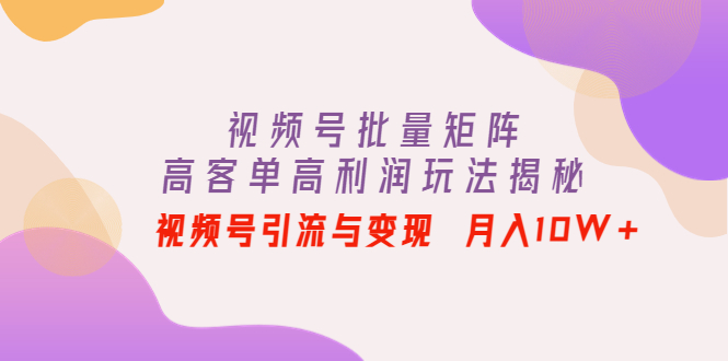 视频号批量矩阵的高客单高利润玩法揭秘： 视频号引流与变现 月入10W+