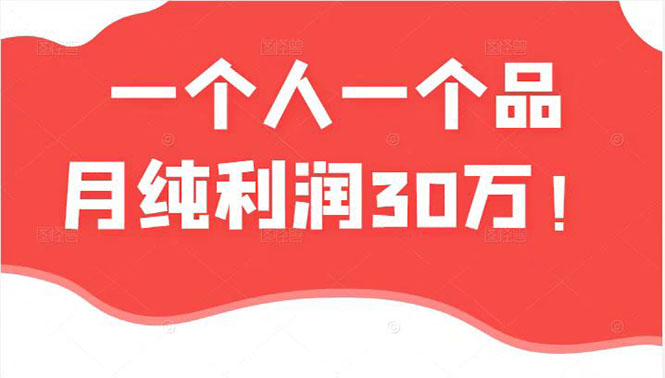 某公众号付费文章：一个人一个品月纯利润30万的蓝海电商经典案例！