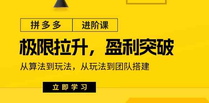 拼多多进阶课：极限拉升/盈利突破：从算法到玩法 从玩法到团队搭建