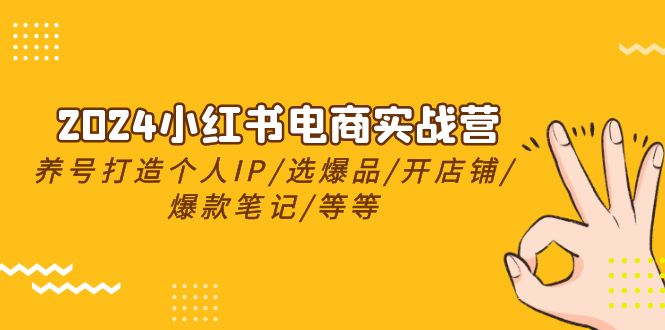 2024小红书电商实战营，养号打造IP/选爆品/开店铺/爆款笔记/等等