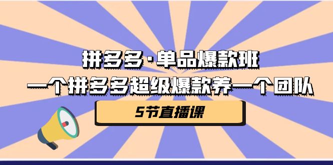 拼多多·单品爆款班，一个拼多多超级爆款养一个团队