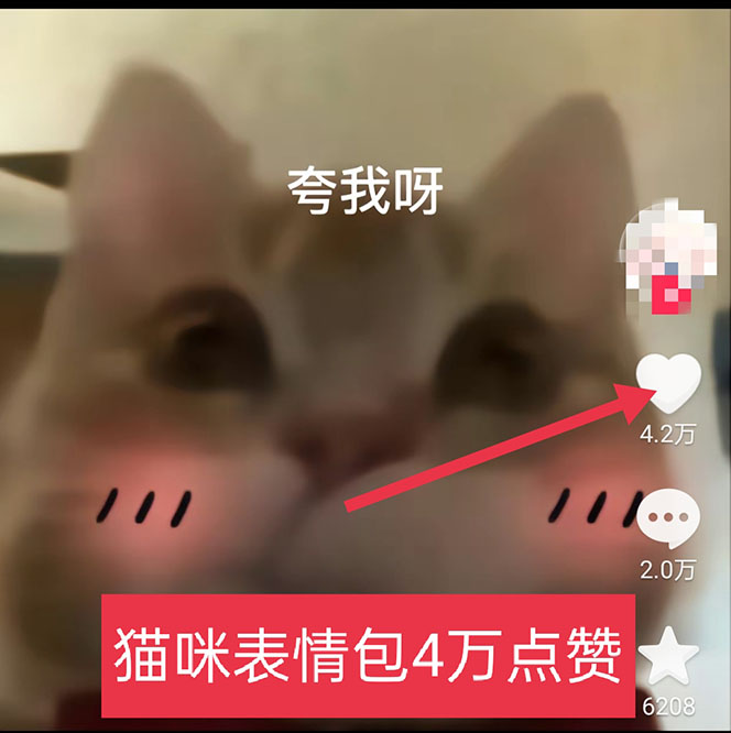 黑科技纯原创可爱猫咪图片，全网精准引流，实操5个VX号被加频繁