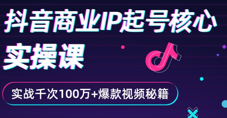 抖音爆款商业IP起号核心实操课：带你玩转算法，流量，内容，架构，变现