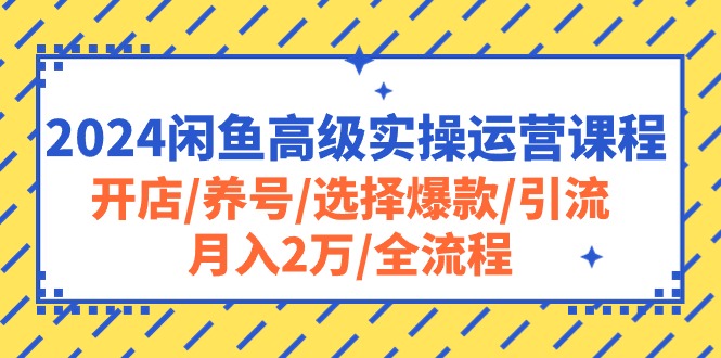 2024闲鱼高级实操运营课程：开店/养号/选择爆款/引流/月入2万/全流程